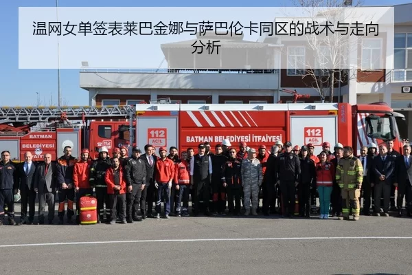 wen-wang-nv-dan-qian-biao-lai-ba-jin-na-yu-sa-ba-lun-ka-tong-qu-de-zhan-shu-yu-zou-xiang-fen-xi-2-833.jpg