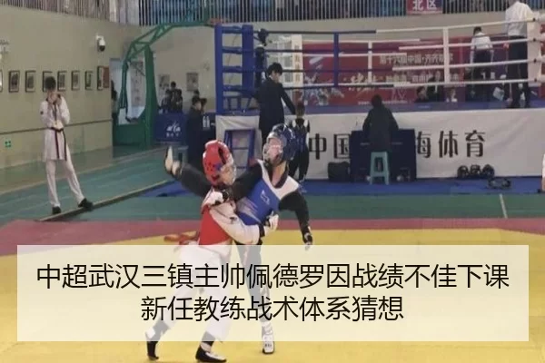 zhong-chao-wu-han-san-zhen-zhu-shuai-pei-de-luo-yin-zhan-ji-bu-jia-xia-ke-xin-ren-jiao-lian-zhan-shu-ti-xi-cai-xiang-3-326.jpg